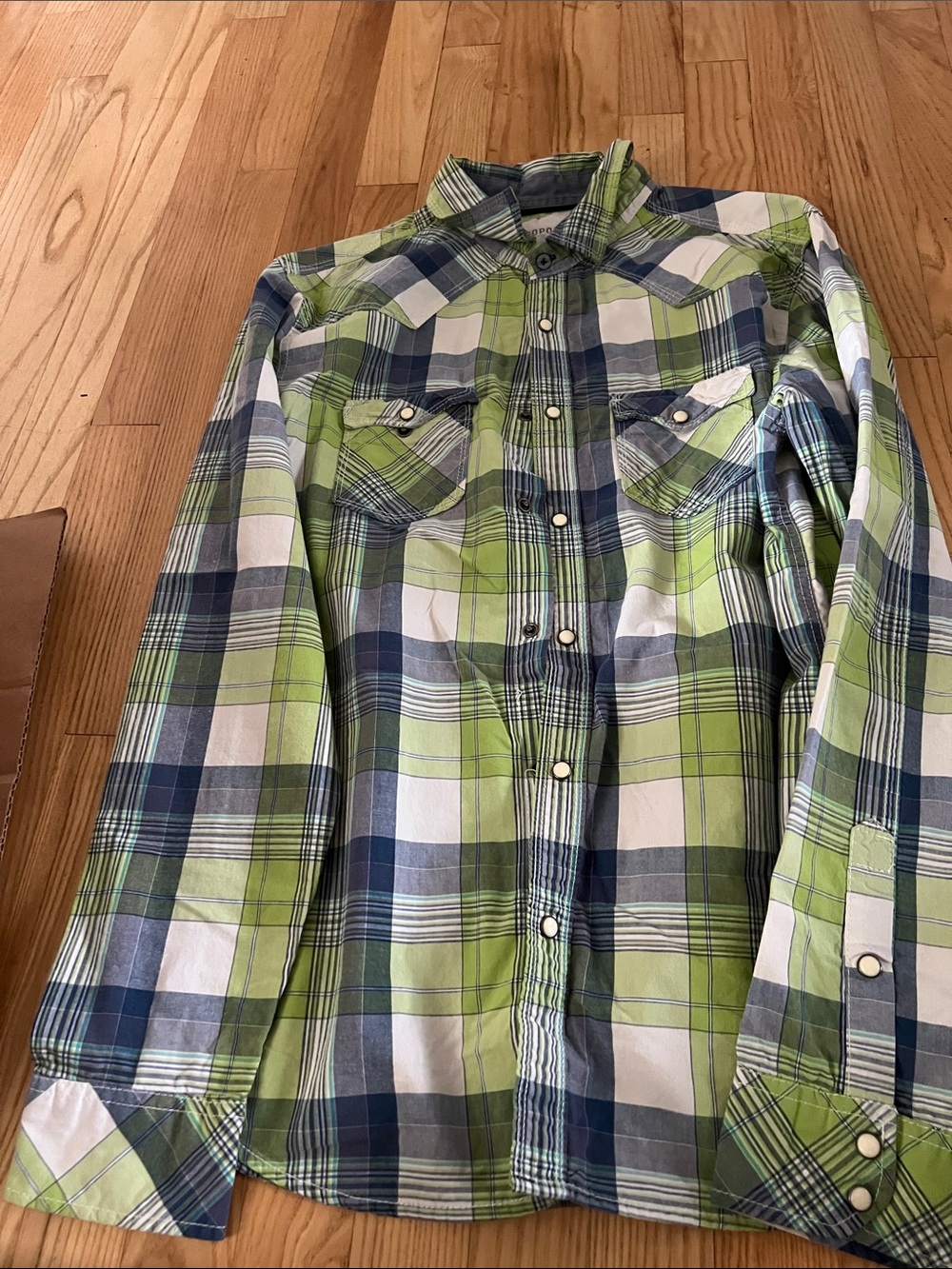 Aeropostale Green and Blue Plaid Button-Down Shirt
